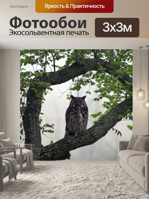 Фотообои Великая Рогатая Сова