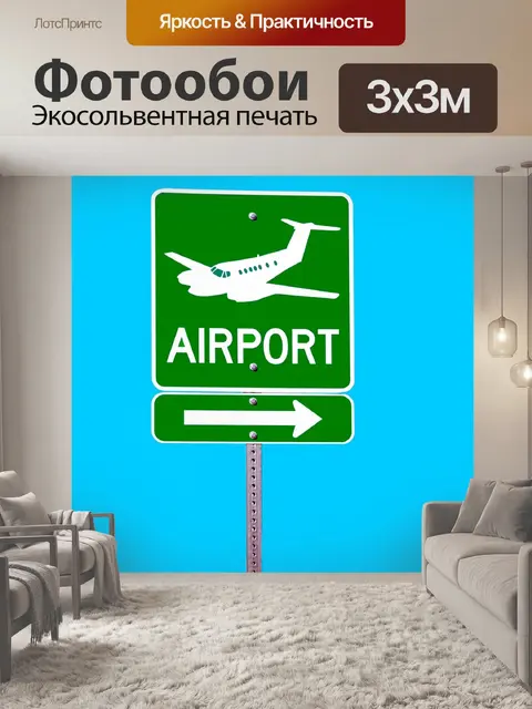 Фотообои Аэропорт Вход