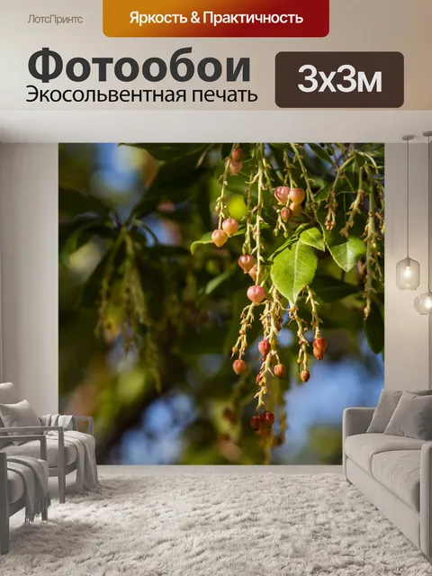 Фотообои Arbutus unedo, Земляничное дерево,