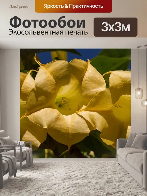 Фотообои Цветы