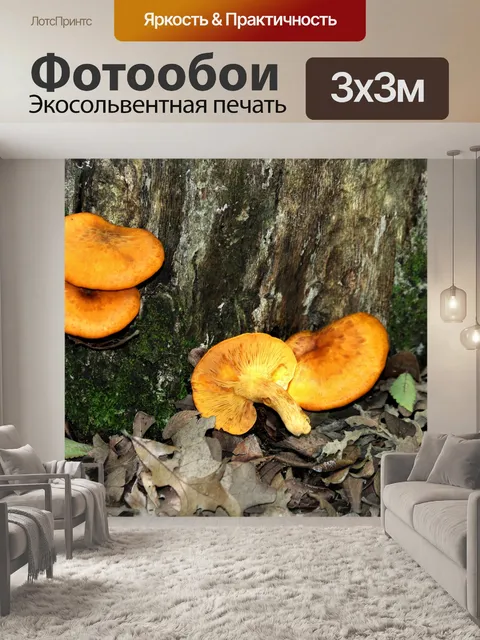 Фотообои Грибы Джека Фонаря на дереве