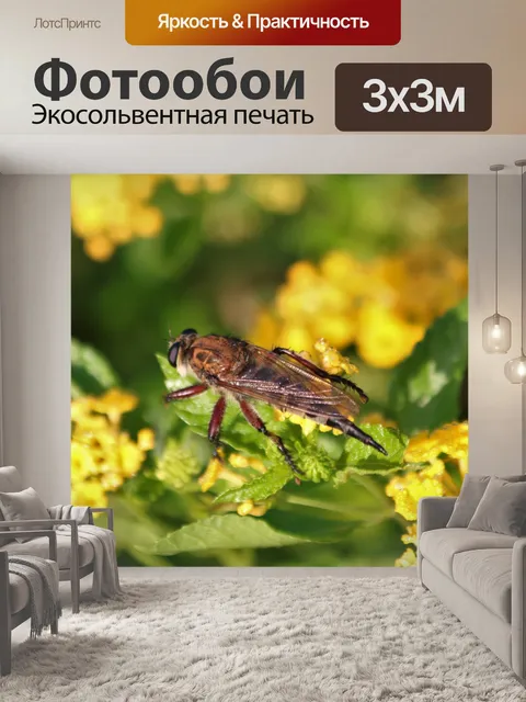 Фотообои Гигантский разбойник на желтых цветах