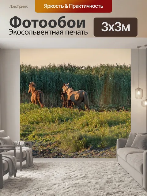 Фотообои Лошади