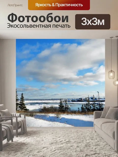Фотообои Агуаниш зимой 106