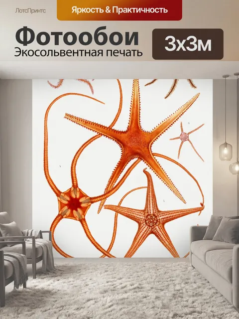 Фотообои Морская звезда старинное искусство стары