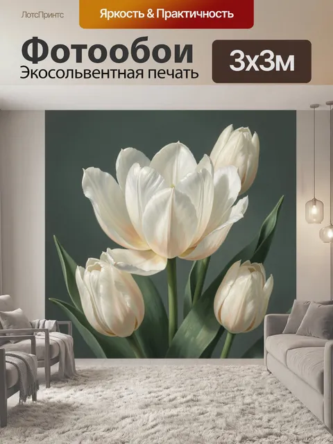 Фотообои Белые тюльпаны на темном фоне