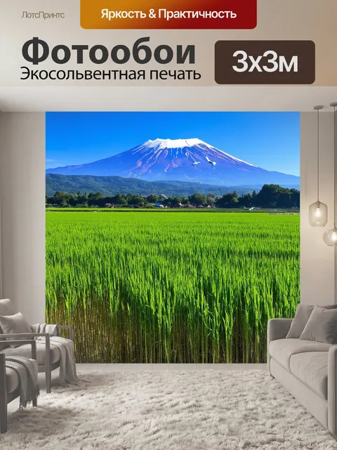 Фотообои япония: летний день в горах