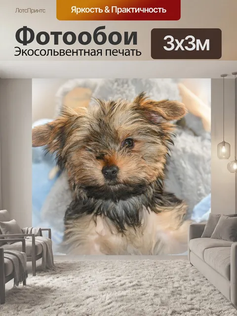 Фотообои Йорки