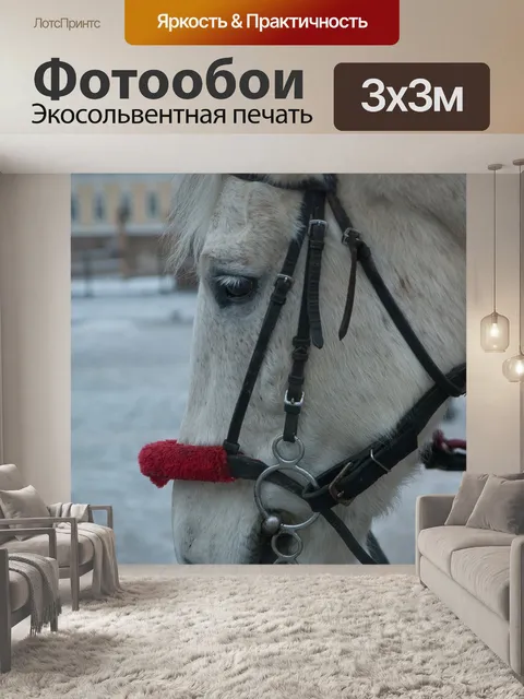 Фотообои Лошадь