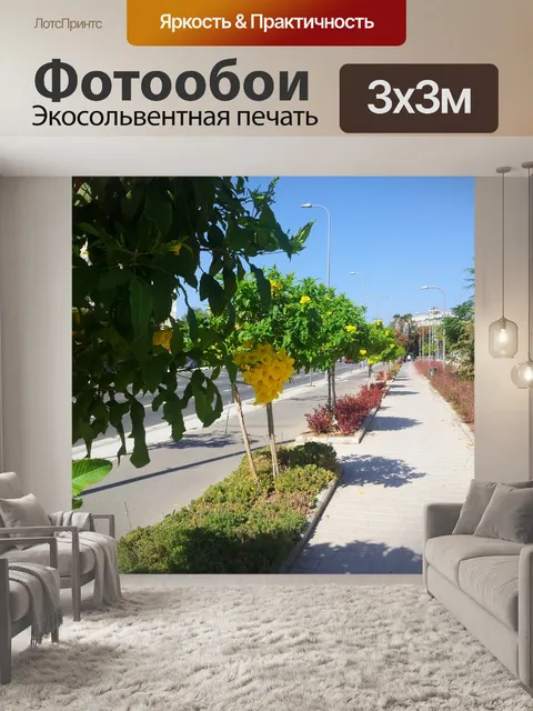 Фотообои солнце, природа, деревья, аллея
