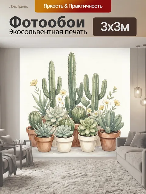 Фотообои Кактусы и суккуленты в горшках