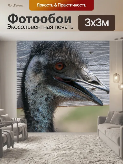 Фотообои Профиль пользователя Emu