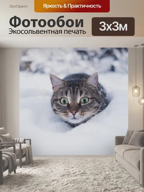Фотообои Кошка
