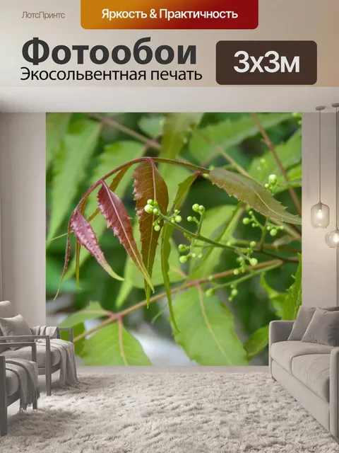 Фотообои Зеленые оттенки в природе