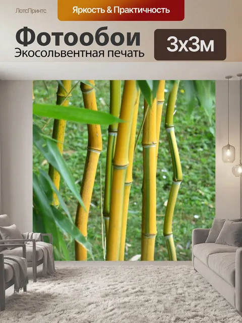 Фотообои Бамбук