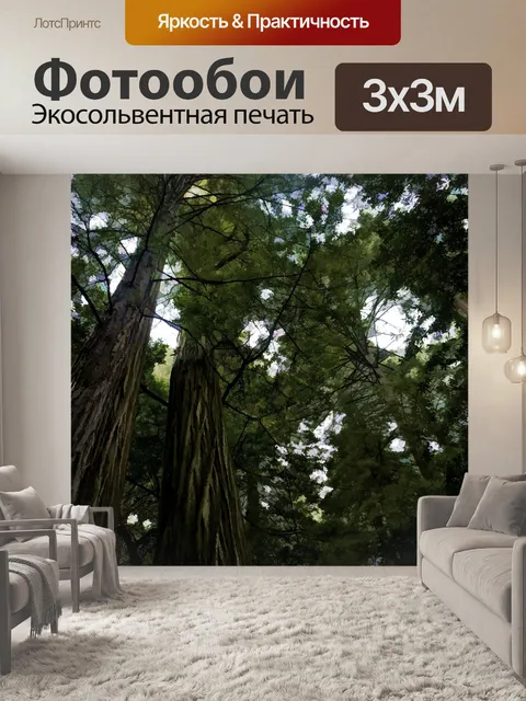 Фотообои Деревья темного леса