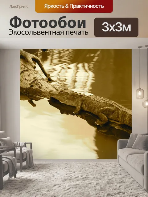 Фотообои Аллигатор