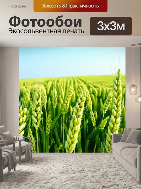 Фотообои фотография зрелого пшеничного поля, обрамленного зеленым полевым цветом, с высоко поднятым небом