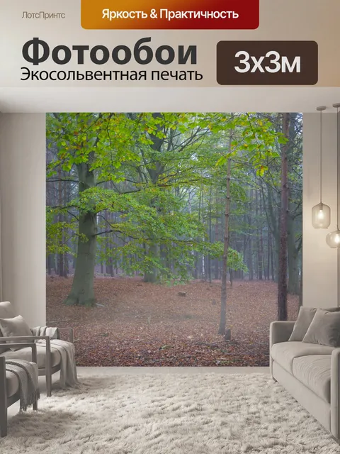 Фотообои Туманный лес