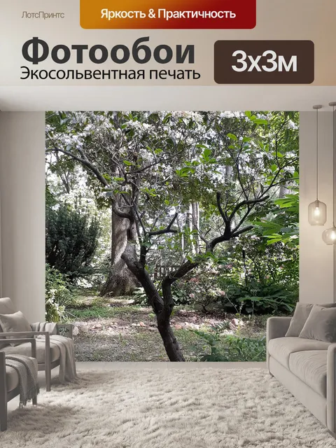 Фотообои Горный Лавр