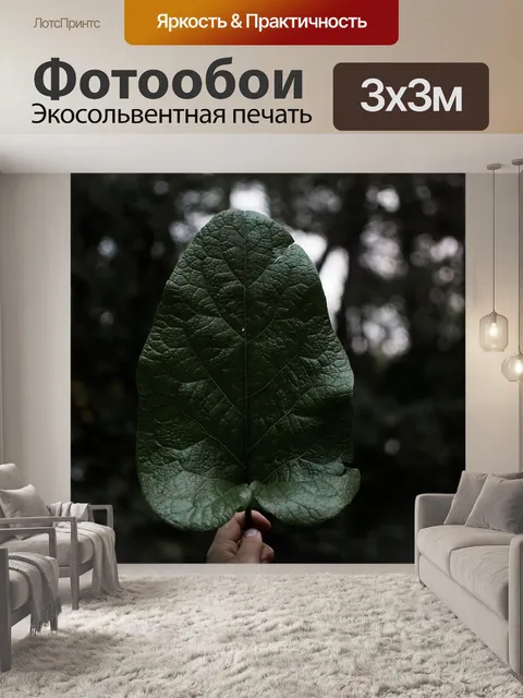 Фотообои Темный