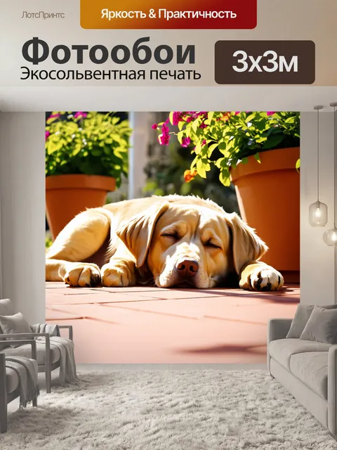 Фотообои лабрадор, мирно спящий на солнечной террасе, окруженный цветочными горшками и зелеными растениями