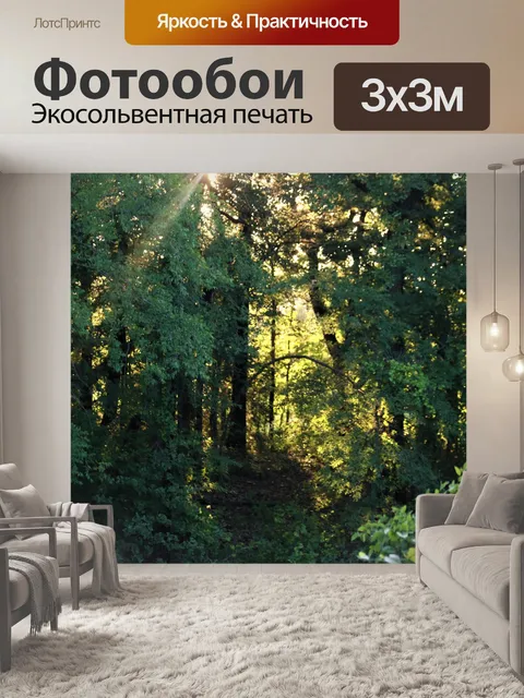 Фотообои Закатный путь через лес