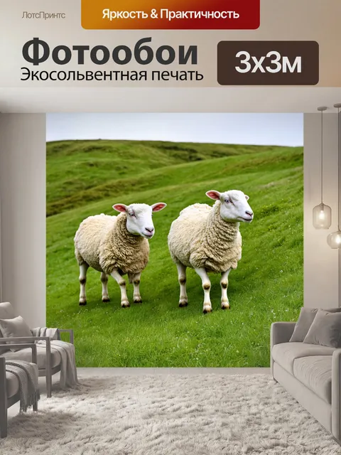 Фотообои английские овцы на зеленом холме
