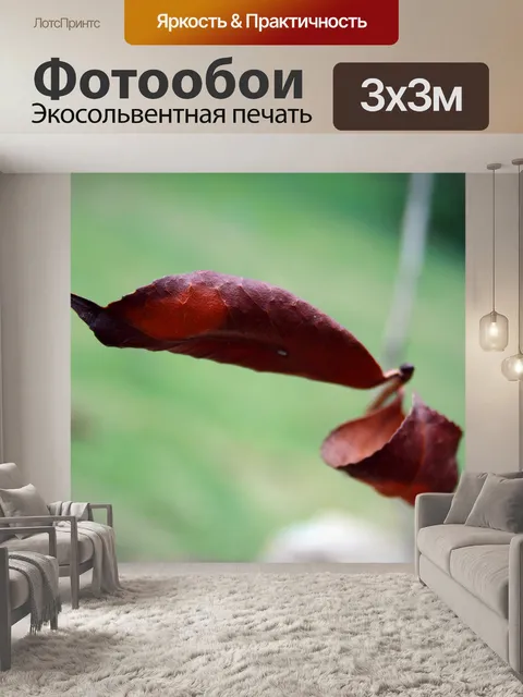 Фотообои сухой коричневые листья