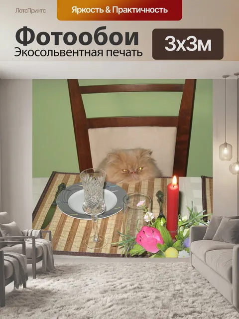 Фотообои Кошка
