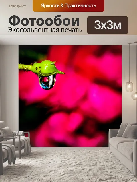 Фотообои Капли дождя на бутон розы