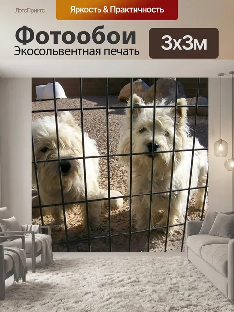 Фотообои Собака за забором