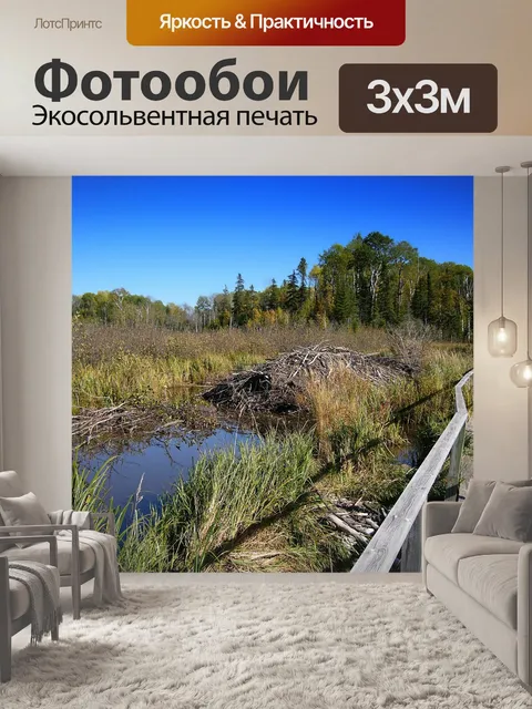Фотообои Миннесота