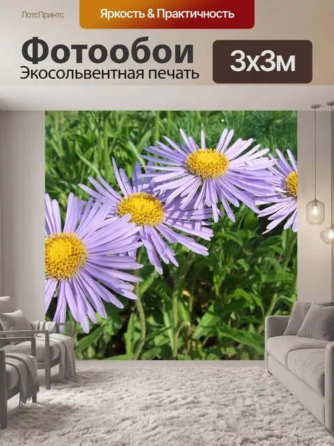 Фотообои Природа
