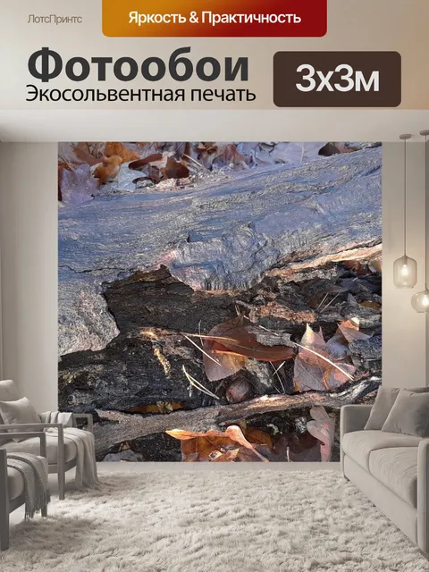 Фотообои Сгнившее дерево на лесной почве