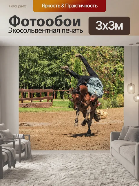 Фотообои Райдер
