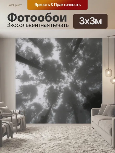 Фотообои Туманная красота