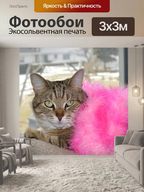 Фотообои Кошка