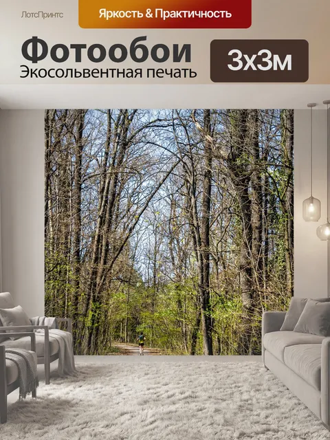 Фотообои Деревья