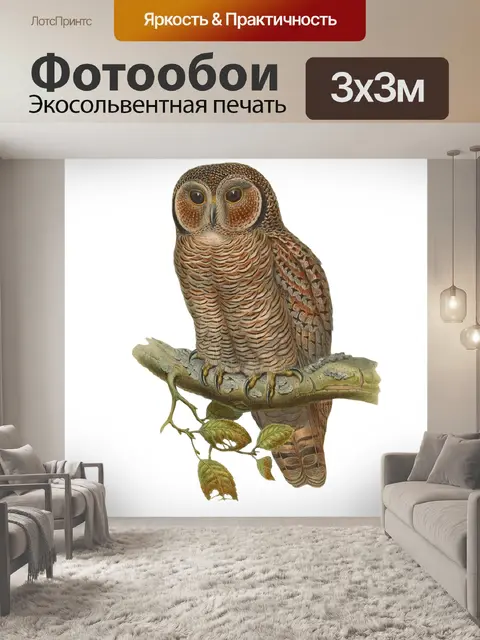 Фотообои Птица