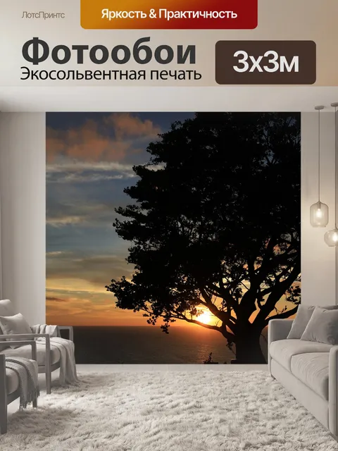 Фотообои Заход солнца