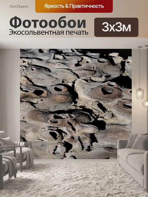 Фотообои История Дрифтвуда в пустыне