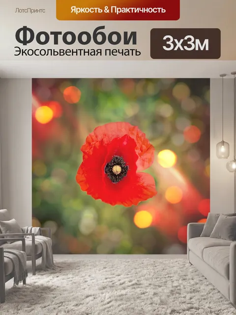 Фотообои Цветок мака расцветает красный