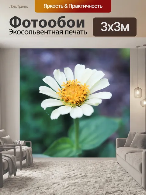 Фотообои Креп миртл