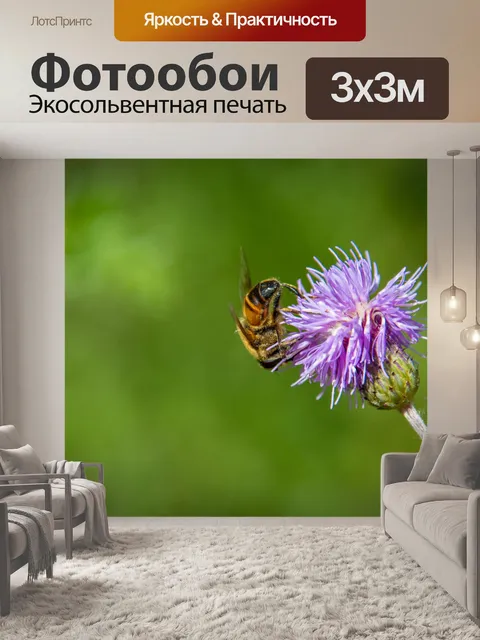 Фотообои Медоносная пчела, насекомое, опылитель