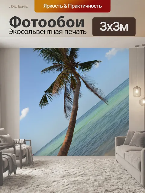 Фотообои Кокосовая пальма