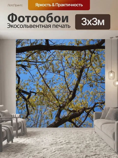 Фотообои вид вверх на цветущее дерево