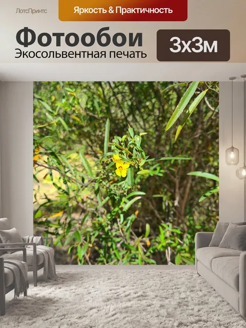 Фотообои Родной куст желтые цветы стручки