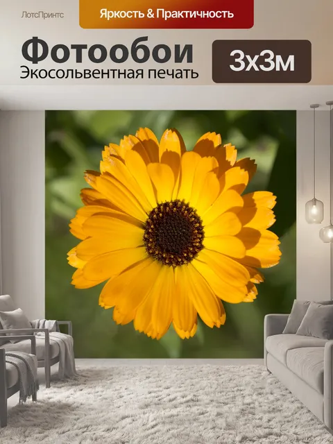 Фотообои Календулы