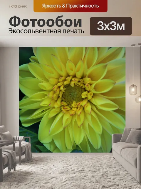 Фотообои солнечный лик желтых георгин